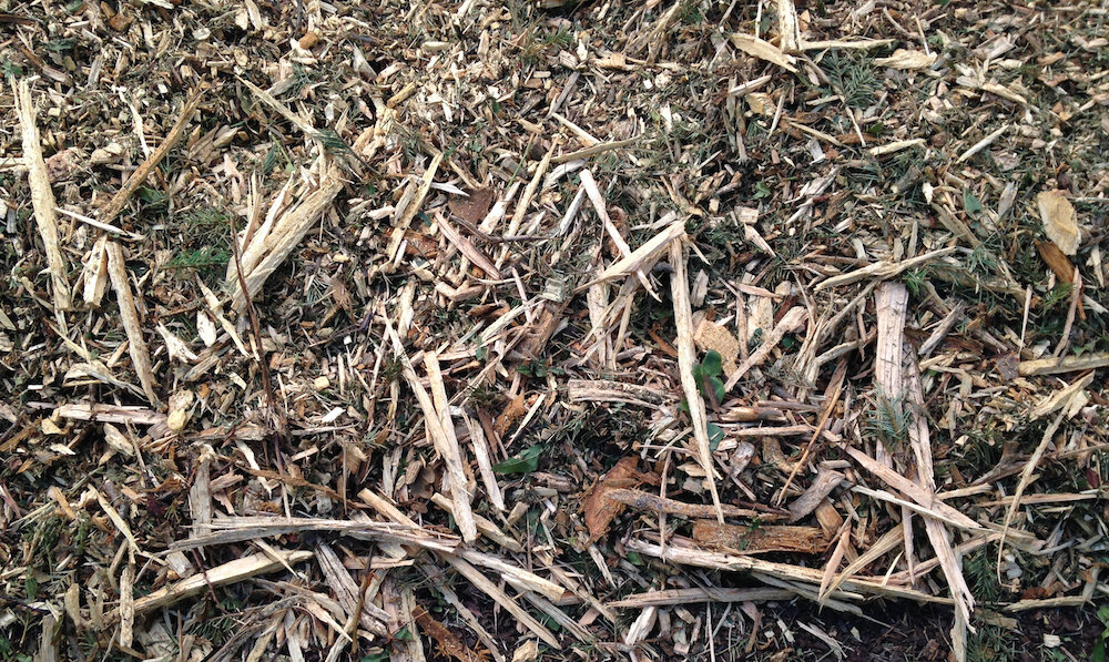 Wood chips with pine needles